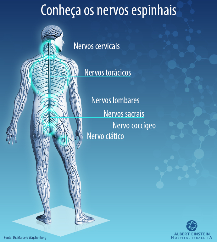 Os vilões do nervo ciático